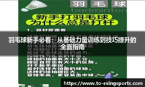 羽毛球新手必看:从基础力量训练到技巧提升的全面指南